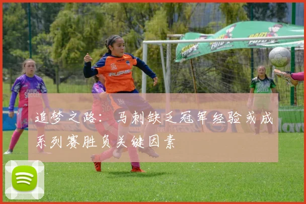 追梦之路：马刺缺乏冠军经验或成系列赛胜负关键因素